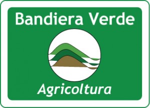 bandiera_verde-300x215