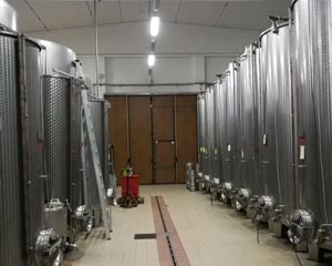 etichetta nutrizionale su vino